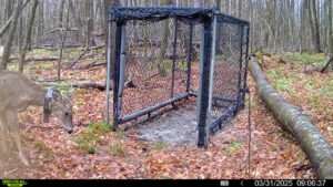Penn State Deer-Forest Study