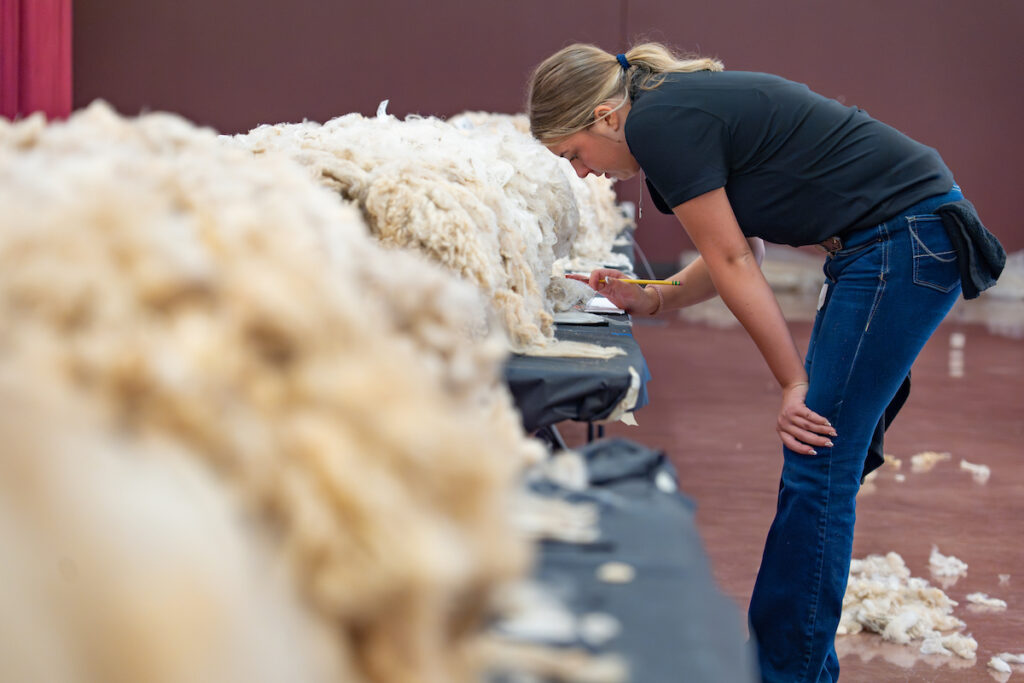 A female student makes notes while inspecting sheep's wool