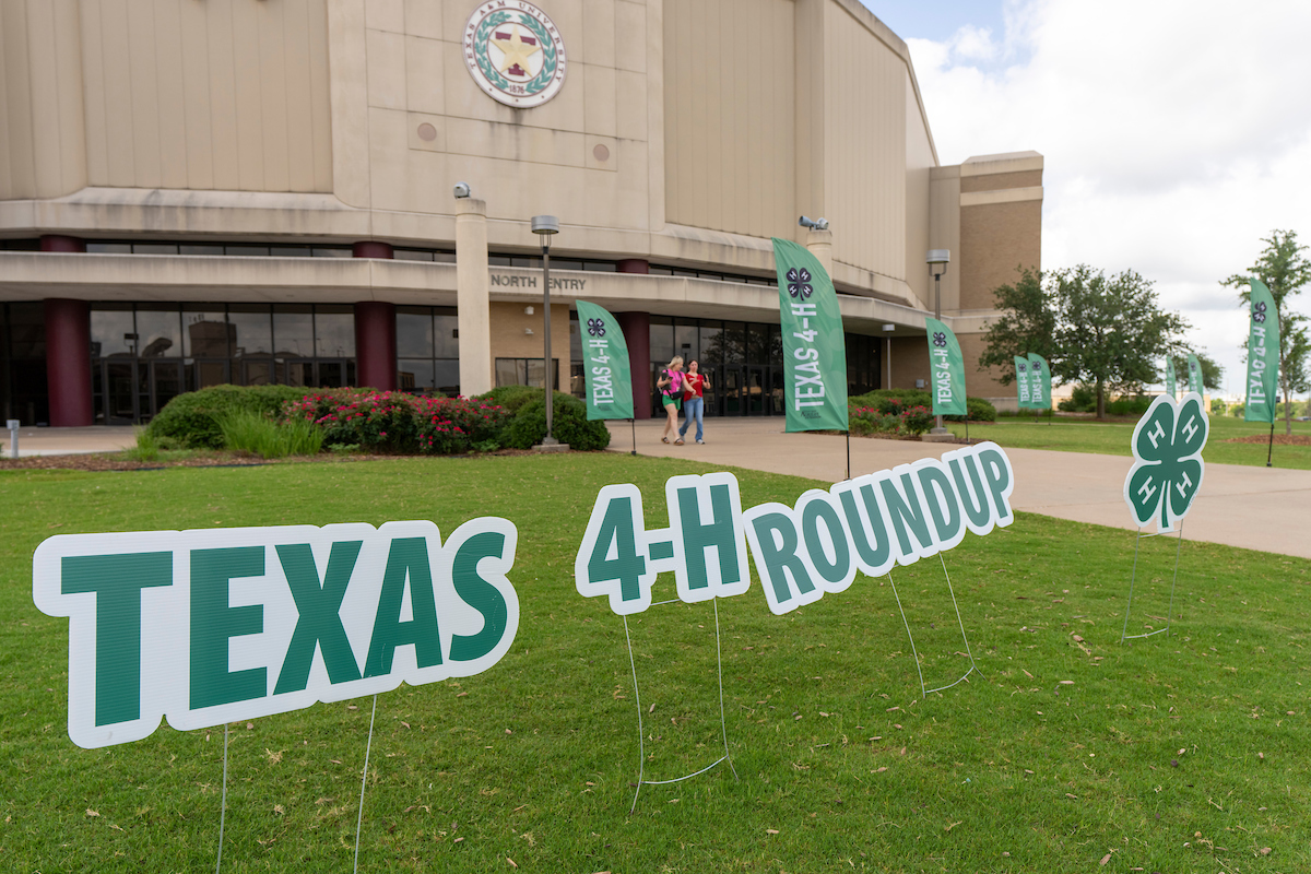 Green Texas 4-H Roundup sign in front of Reed Arena on Texas A&M University's campus.