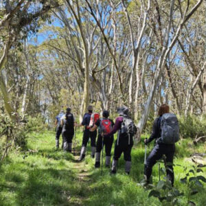 Anchor - Two Peaks Victoria 2026