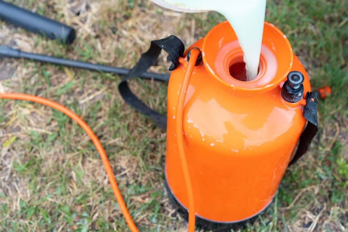DIY Homemade Organic Fungicides for Garden Plants: Crafting Organic and Natural Recipes 6 Best Garden Pump Pressure Sprayers in India1