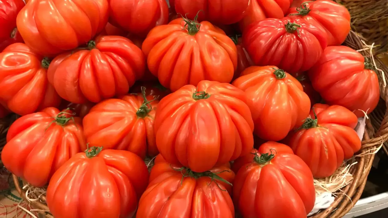 A close-up of a large wicker bowl filled with large, fresh, heart-shaped tomatoes that have ribbed, glossy orange-red skin with a slightly pointed tip.