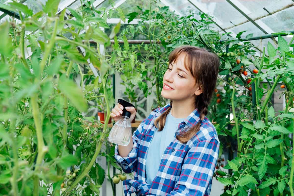 DIY Homemade Organic Fungicides for Garden Plants: Crafting Organic and Natural Recipes 8 Integrated Pest Management for Greenhouse Crops6