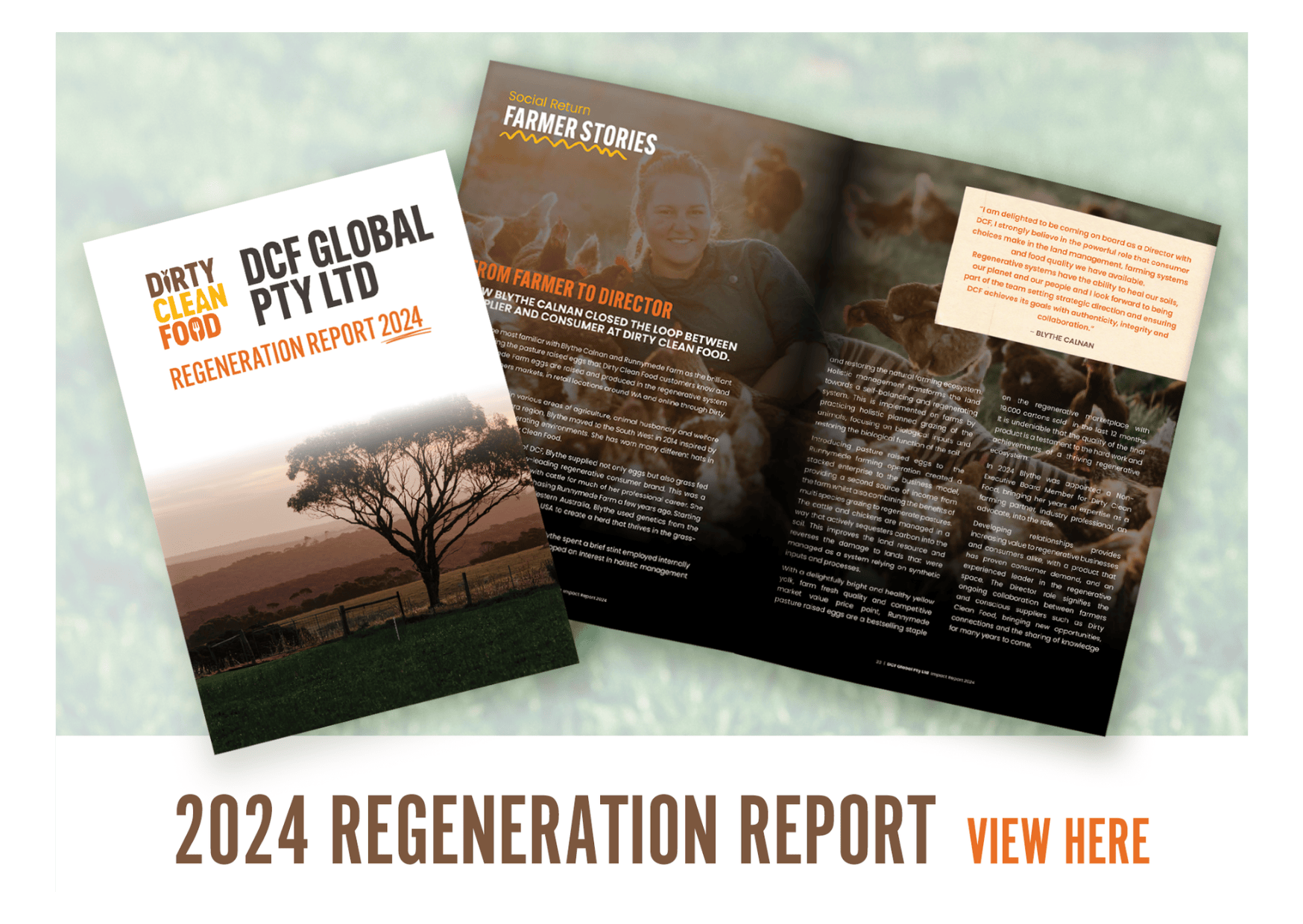 Regeneration Report 2024